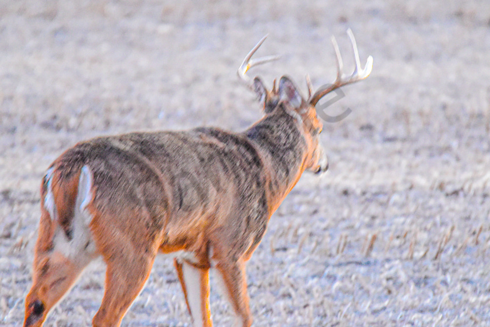 November 2024 257 Photography Art | Photos By Regan