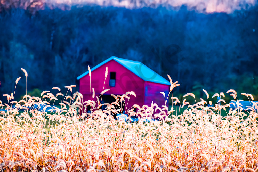 November 2024 376 Photography Art | Photos By Regan