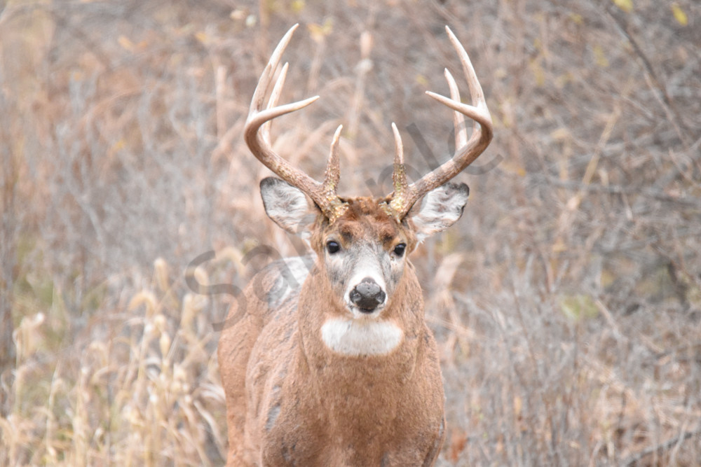 November 2025 30 Photography Art | Photos By Regan