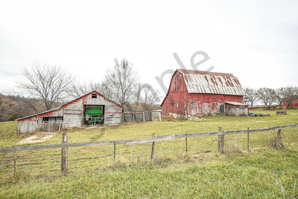 November 2025 89 Photography Art | Photos By Regan