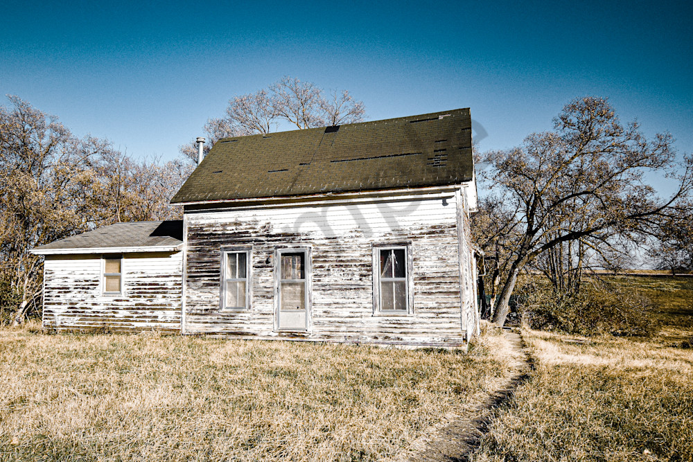 November 2025 114 Photography Art | Photos By Regan