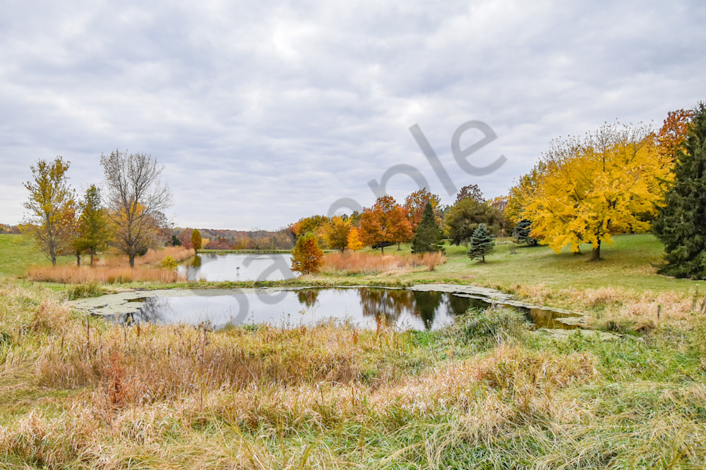 November 2025 230 Photography Art | Photos By Regan