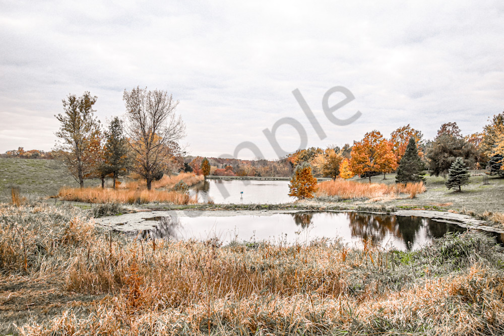 November 2025 231 Photography Art | Photos By Regan