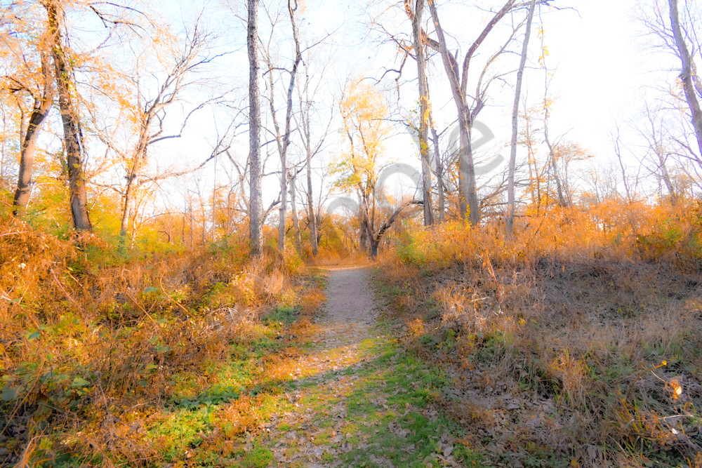 November 2025 262 Photography Art | Photos By Regan