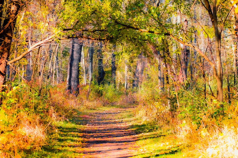 November 2025 288 Photography Art | Photos By Regan