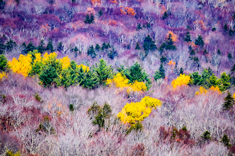 October 2024 316 Photography Art | Photos By Regan