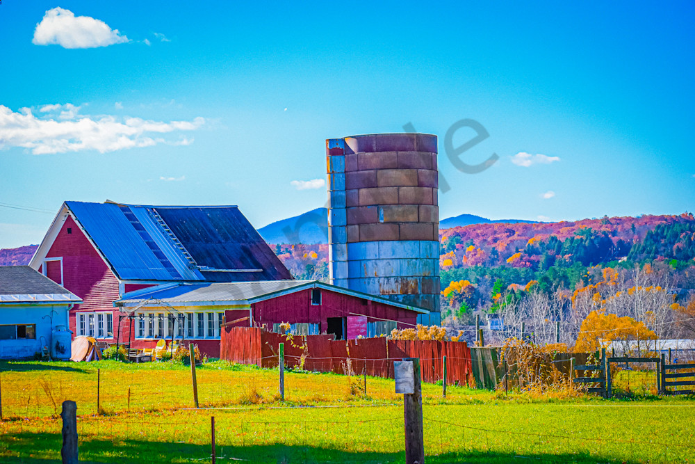 October 2024 337 Photography Art | Photos By Regan