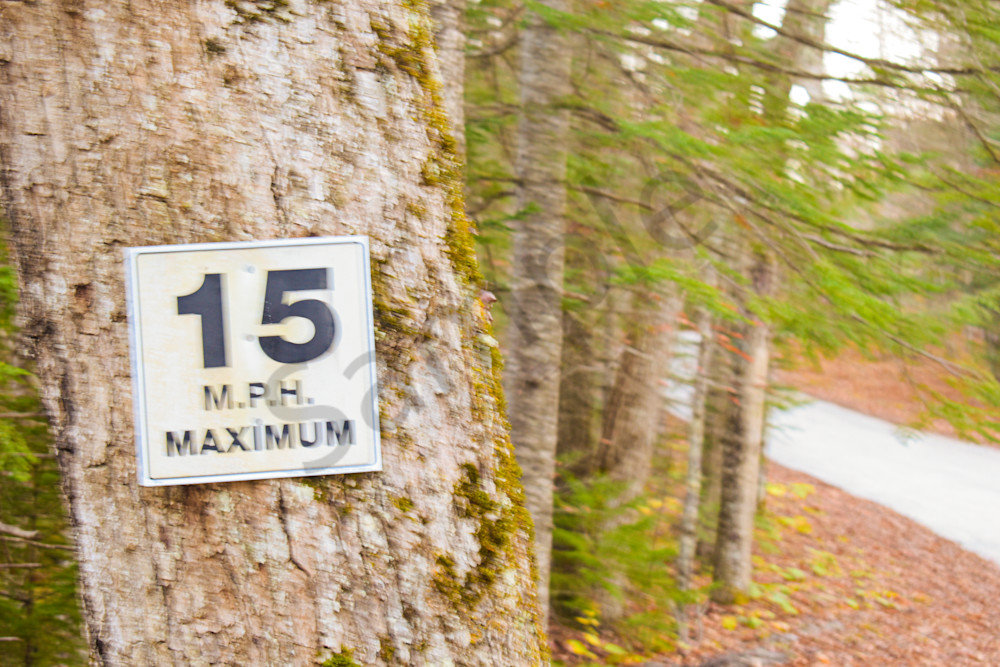 October 2024 374 Photography Art | Photos By Regan