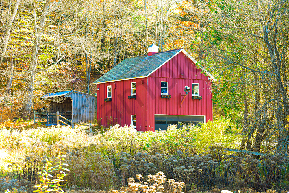 October 2024 355 Photography Art | Photos By Regan