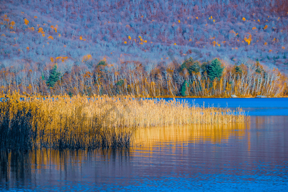 October 2024 402 Photography Art | Photos By Regan