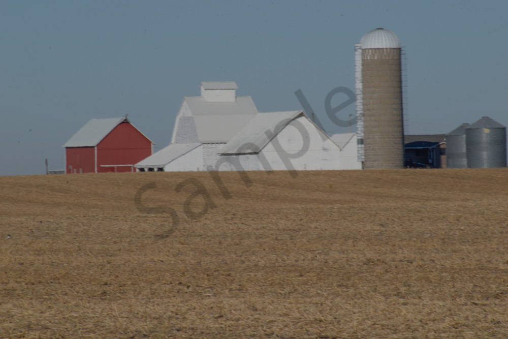 October 2024 500 Photography Art | Photos By Regan