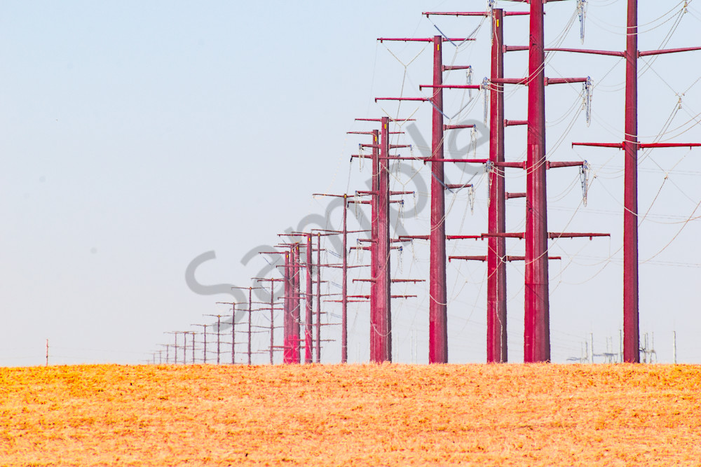 October 2024 452 Photography Art | Photos By Regan