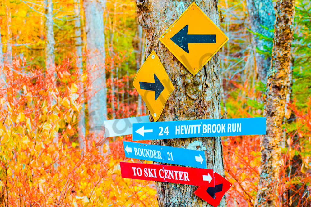 October 2024 417 Photography Art | Photos By Regan