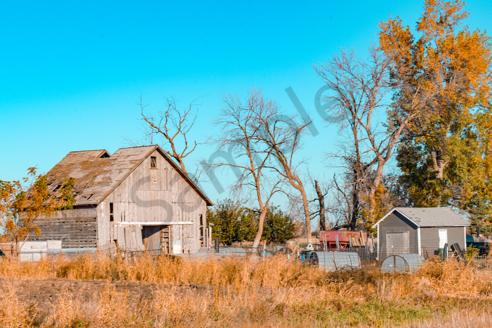 October 2024 505 Photography Art | Photos By Regan