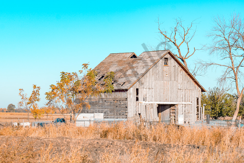 October 2024 506 Photography Art | Photos By Regan