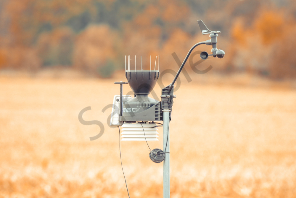 October 2024 835 Photography Art | Photos By Regan