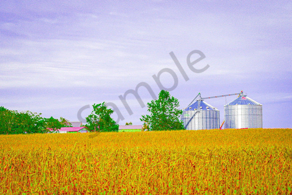 October 2024 812 Photography Art | Photos By Regan