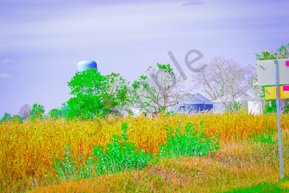 October 2024 791 Photography Art | Photos By Regan