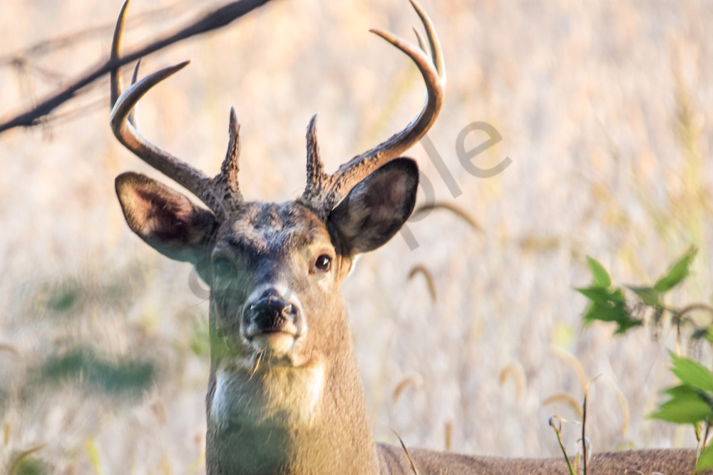 October 2024 976 Photography Art | Photos By Regan