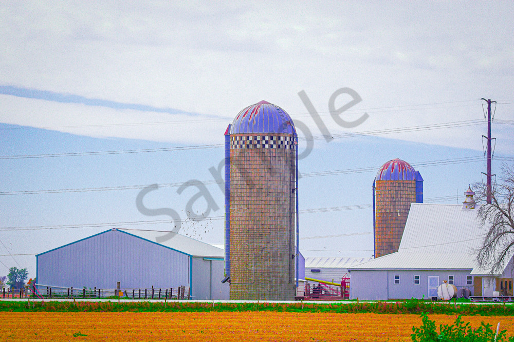 October 2024 840 Photography Art | Photos By Regan