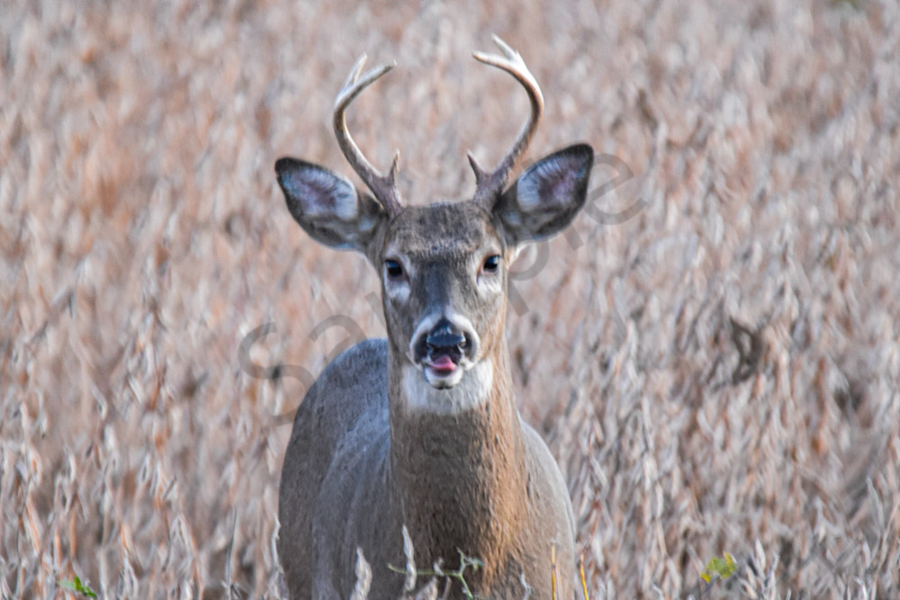 October 2024 1148 Photography Art | Photos By Regan