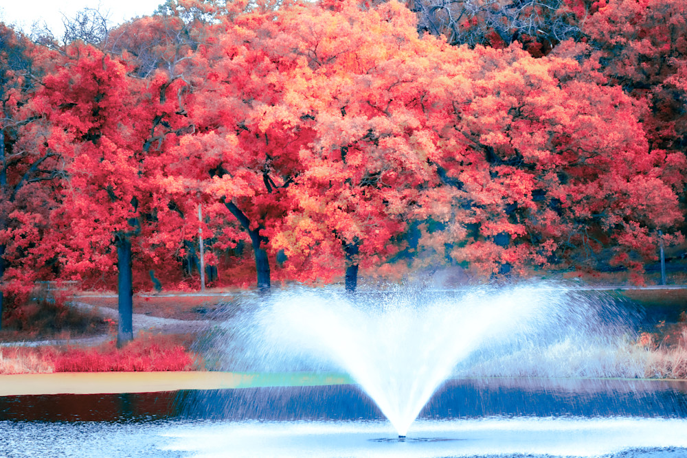 October 2025 9 Photography Art | Photos By Regan