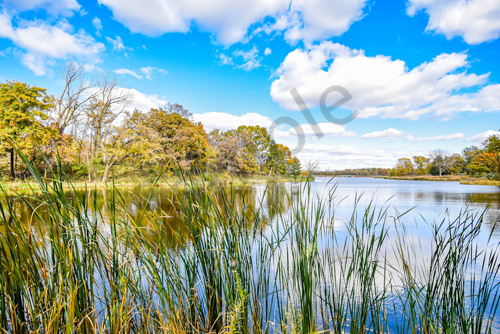 October 2025 31 Photography Art | Photos By Regan