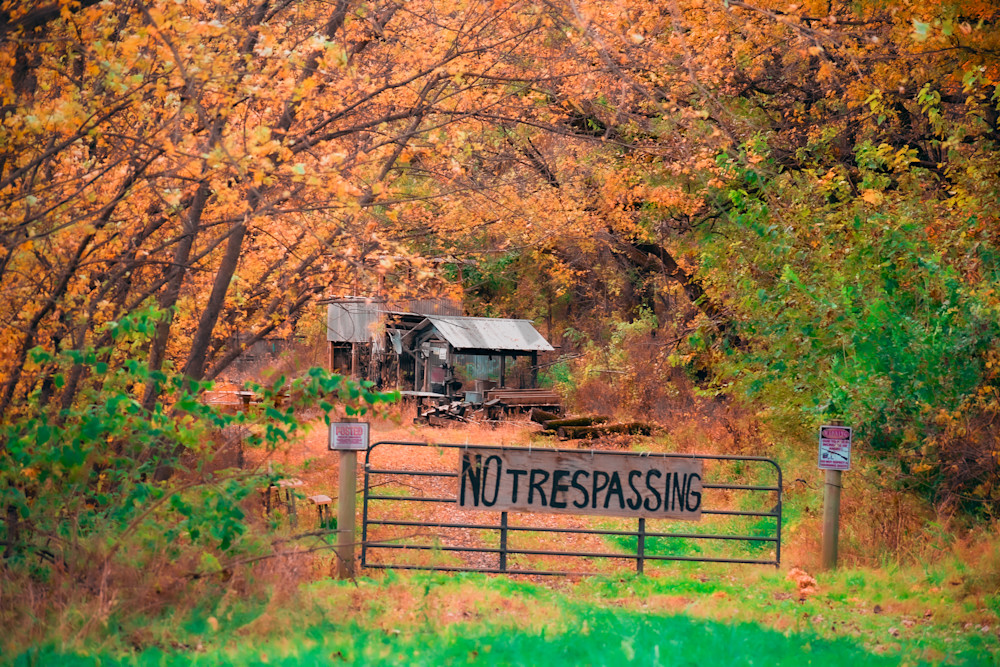 October 2025 58 Photography Art | Photos By Regan