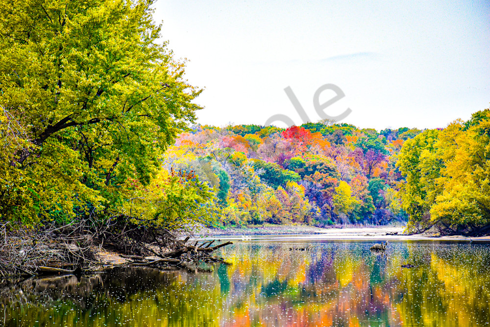 October 2025 93 Photography Art | Photos By Regan