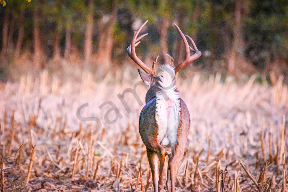 October 2025 175 Photography Art | Photos By Regan