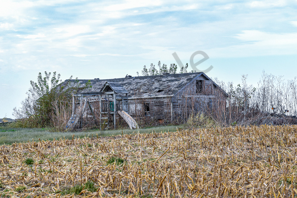 October 2025 190 Photography Art | Photos By Regan