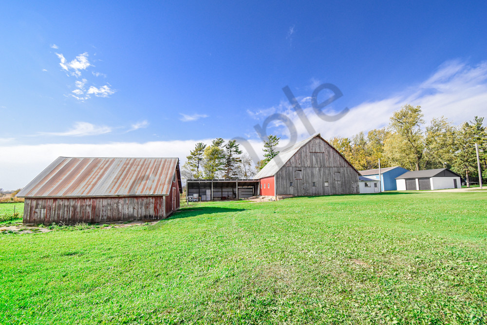 October 2025 245 Photography Art | Photos By Regan