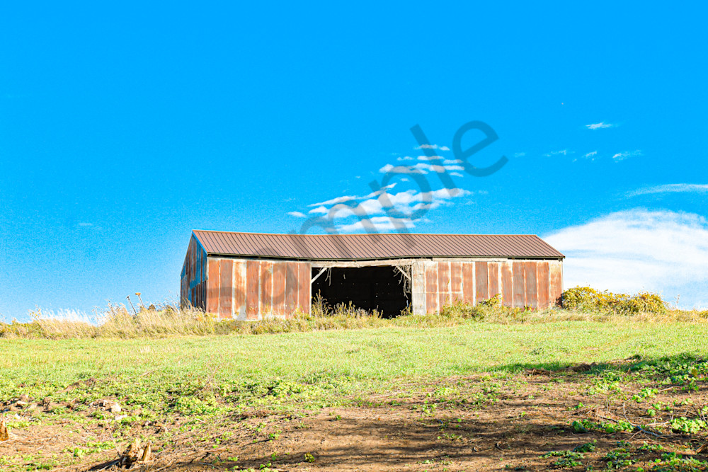 October 2025 321 Photography Art | Photos By Regan