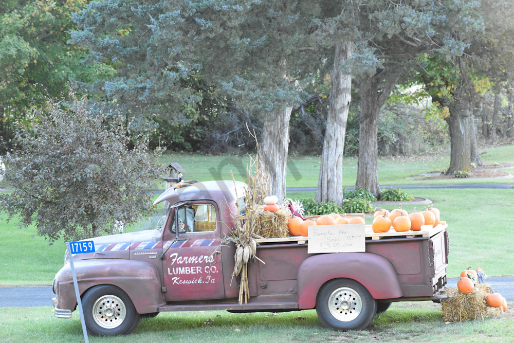 October 2025 372 Photography Art | Photos By Regan