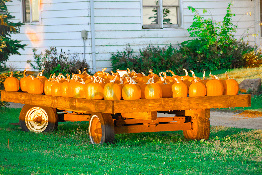 October 2025 385 Photography Art | Photos By Regan