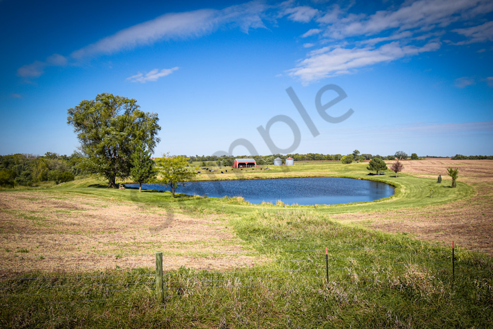 October 2025 598 Photography Art | Photos By Regan