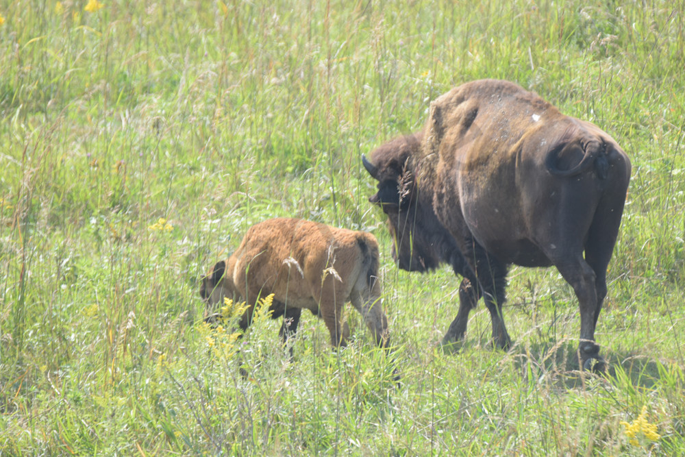 September 2024 233 Photography Art | Photos By Regan