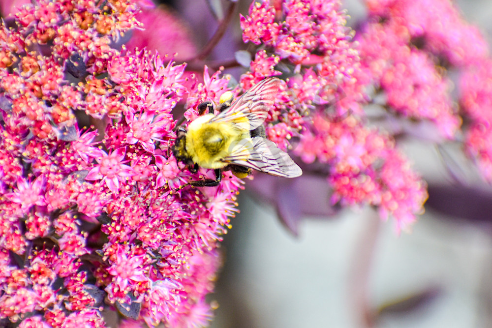 September 2024 143 Photography Art | Photos By Regan