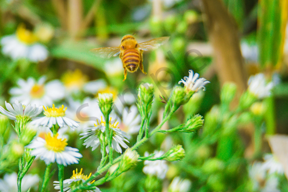 September 2024 162 Photography Art | Photos By Regan