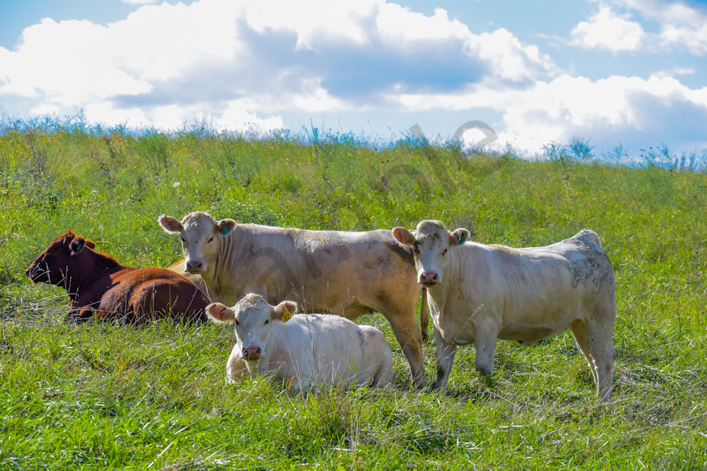 September 2024 348 Photography Art | Photos By Regan