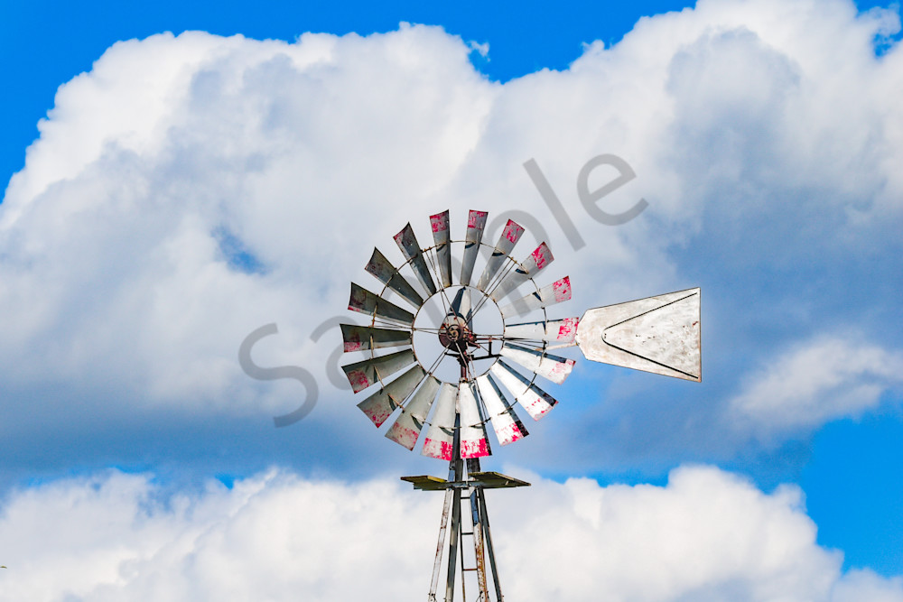 September 2024 363 Photography Art | Photos By Regan