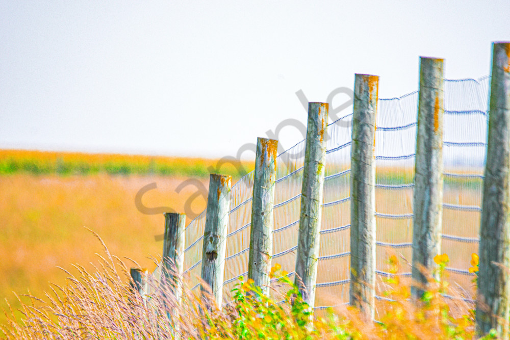 September 2024 272 Photography Art | Photos By Regan