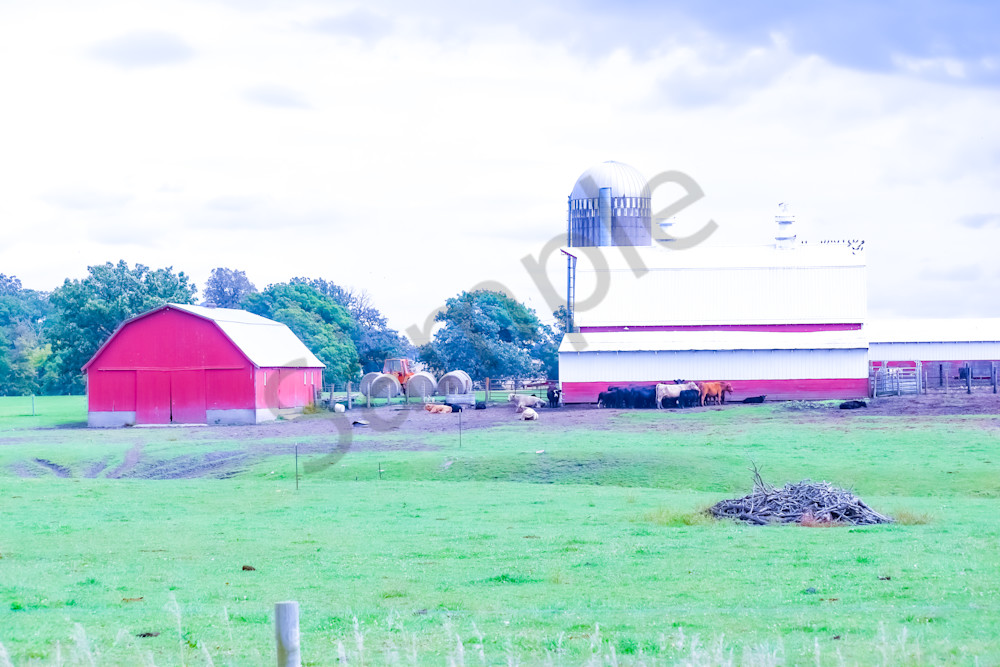 September 2025 182 Photography Art | Photos By Regan