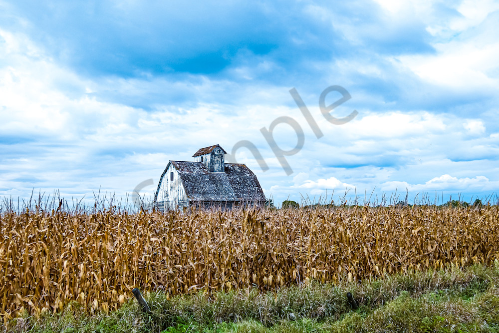 September 2025 173 Photography Art | Photos By Regan