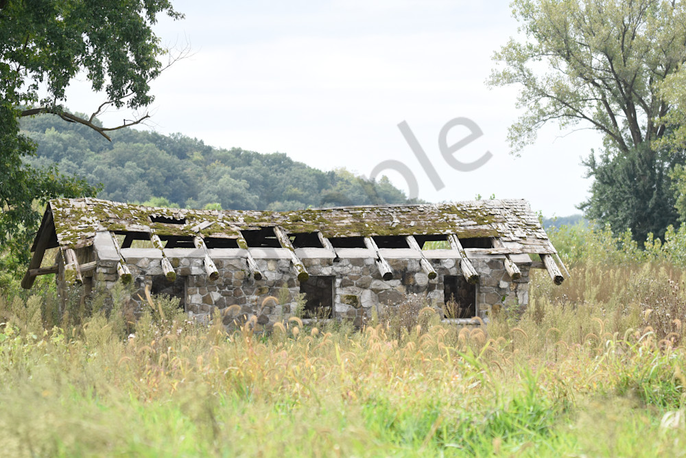 September 2025 260 Photography Art | Photos By Regan