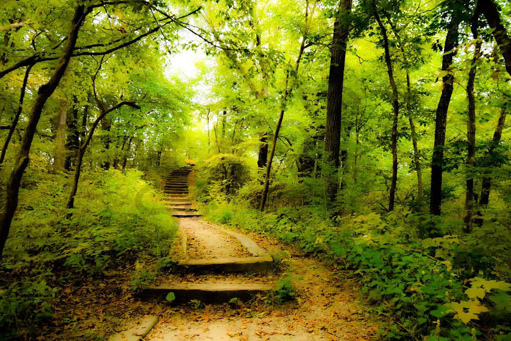 September 2025 306 Photography Art | Photos By Regan