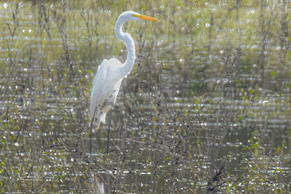 September 2025 593 Photography Art | Photos By Regan