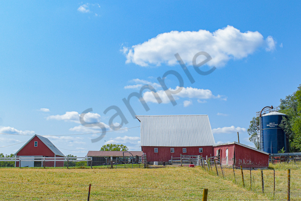 September 2025 750 Photography Art | Photos By Regan