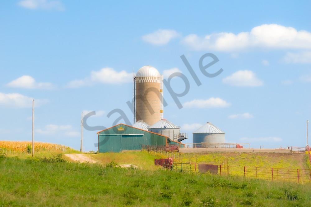 September 2025 838 Photography Art | Photos By Regan