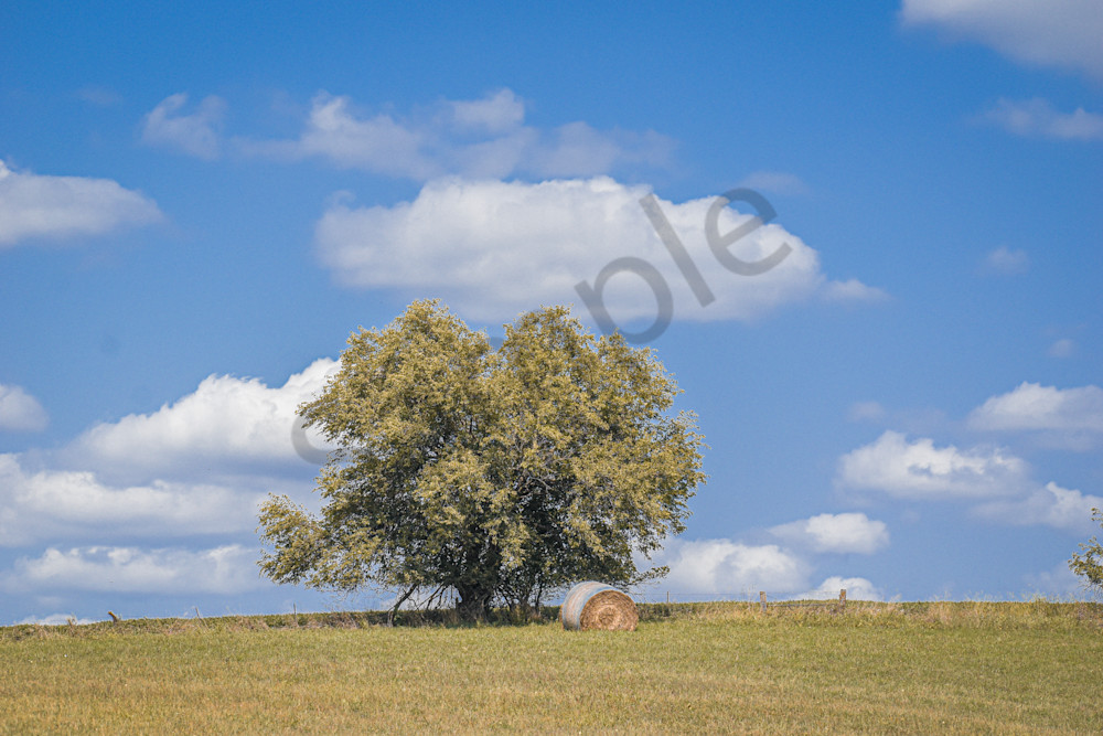 September 2025 822 Photography Art | Photos By Regan